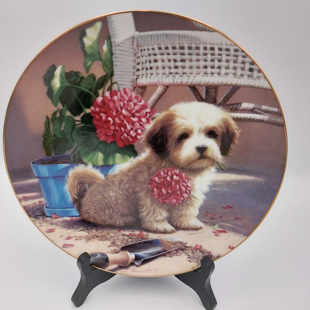 Porcelain,Ceramic,Gold Rim,Fine China,Paint,Glaze,Clay